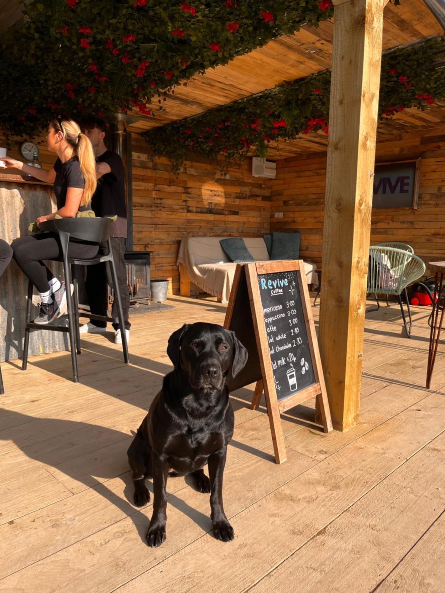 Rostrevor Mountain Lodge - Glamping Pods - Revive Sauna & Hot Tubs Εξωτερικό φωτογραφία